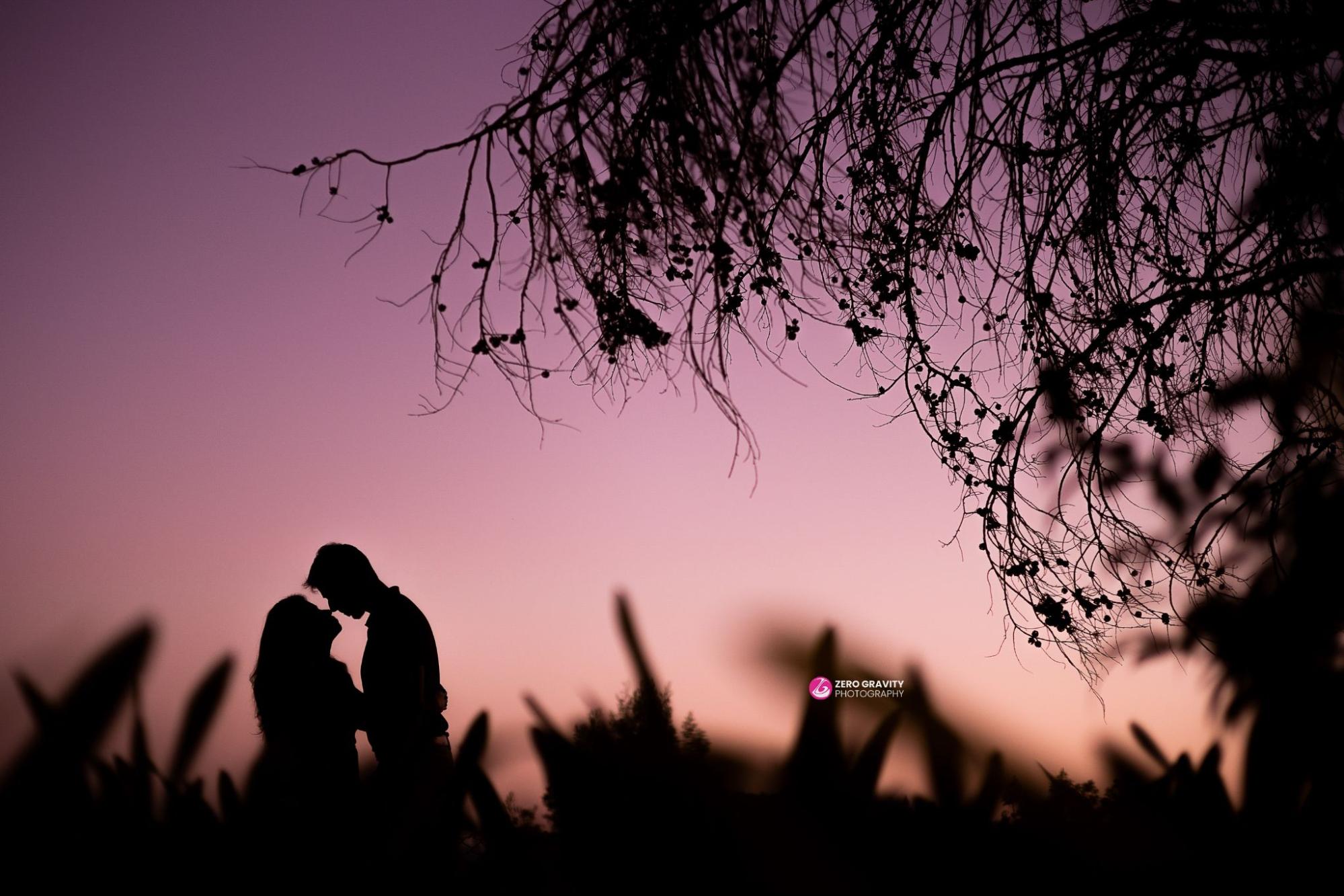 Silhouette of a Couple Facing Each Other · Free Stock Photo